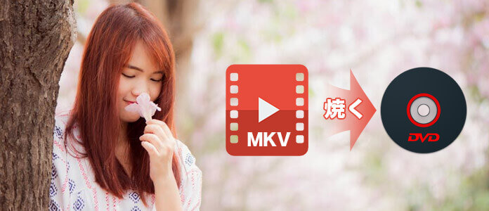 MKV DVD 変換