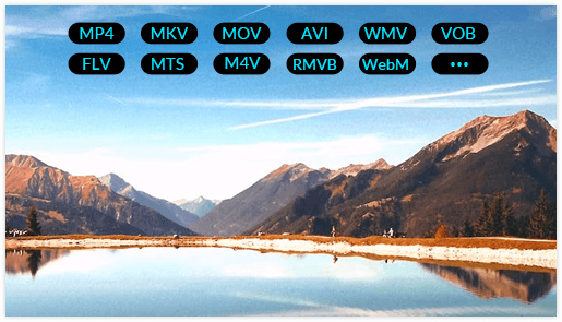 DVDを動画に変換