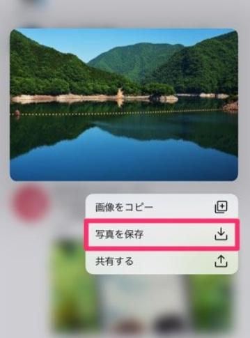 iPhoneでツイッター画像保存