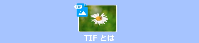 TIF とは