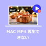 MacでMP4が再生できない