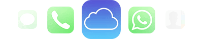 iCloud バックアップデータからの復元