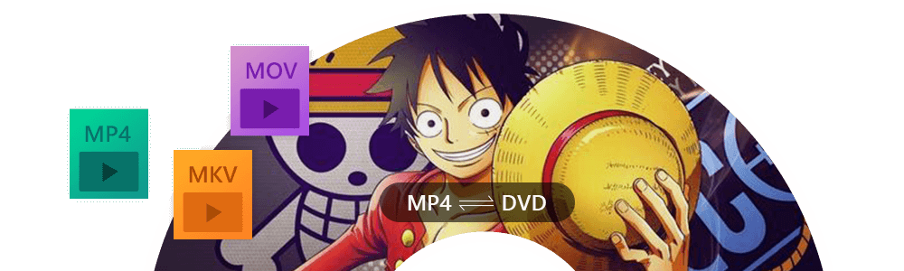 DVD/動画 MP4 変換