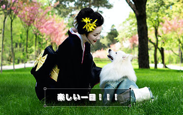 字幕を追加