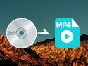 DVD MP4 変換
