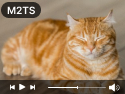 M2TS 再生