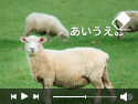 動画 文字 消し