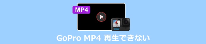 GoPro MP4 再生できない