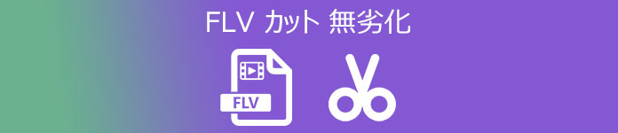 FLV カット 無劣化