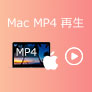 Mac MP4 再生