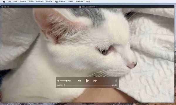 QuickTime PlayerでMP4を再生