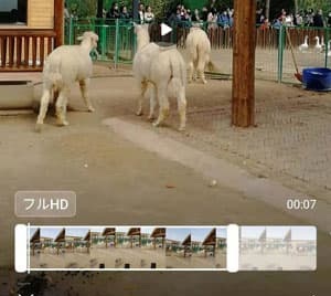 Androidでインスタ用動画を編集
